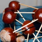 Wissenschaftliche Übersetzungen