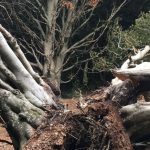 Übersetzungen Klimawandel