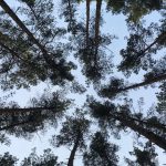 Klimawandel-Übersetzungen