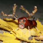 Umweltfreundlich Ameisen vertreiben